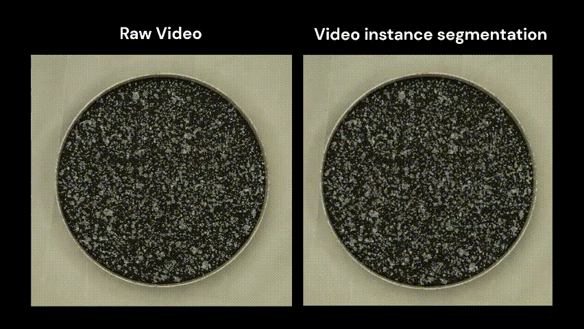 Crackvideo.gif
